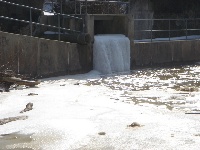 Patapsco River - Daniels Dam Section