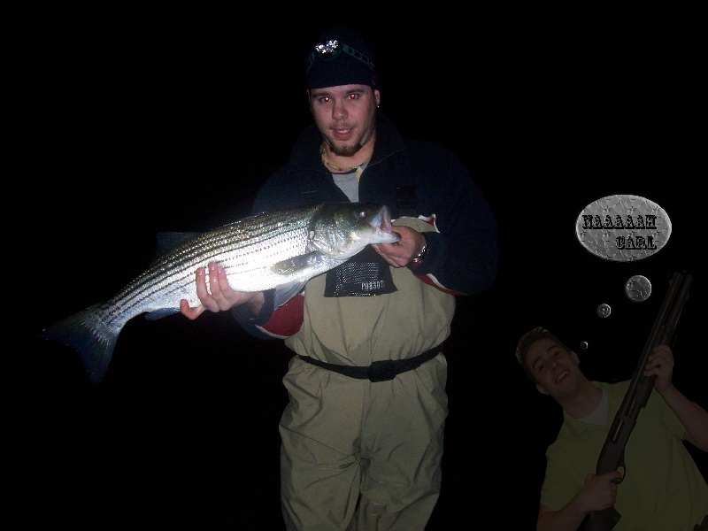 Striper