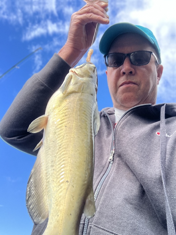 Catfish caught in Joppatowne park 