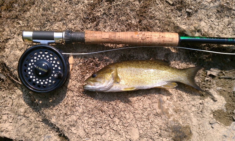 1st Smallmouth near Frederick