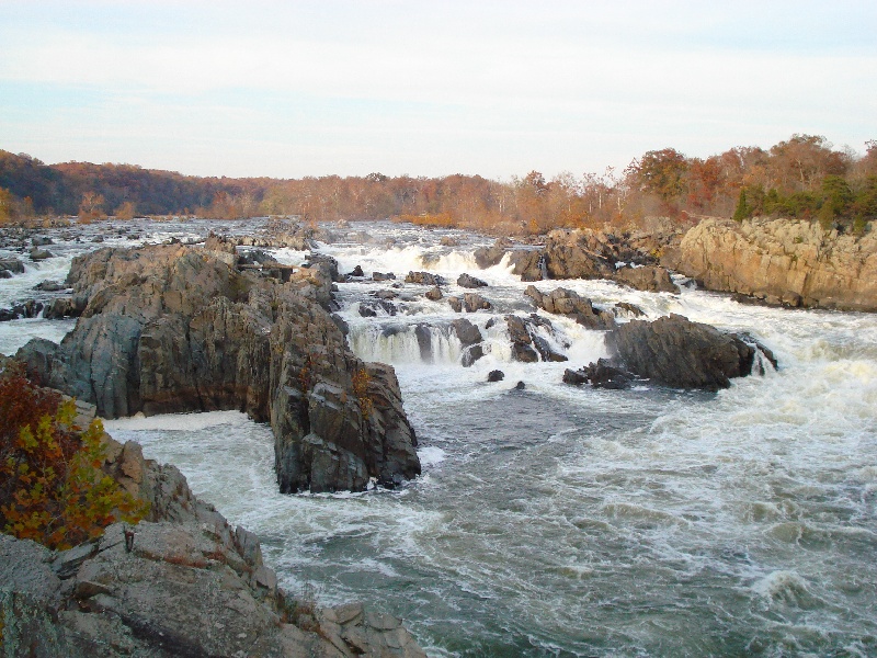 Darnestown fishing photo 1