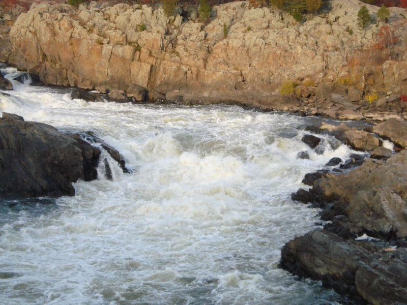 Kemp Mill fishing photo 4