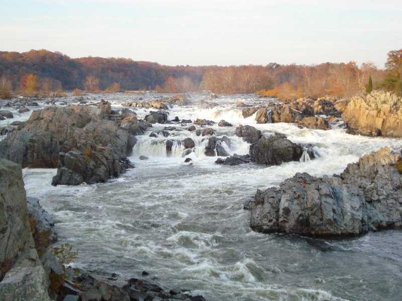 Greater Landover fishing photo 5