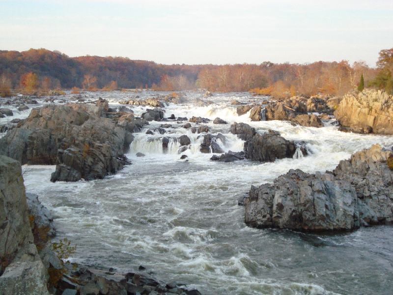 Landover Hills fishing photo 5