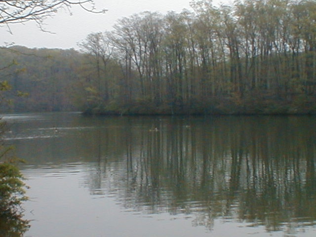 Muddy Run near Perryville