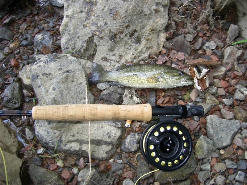 Burkittsville fishing photo 4