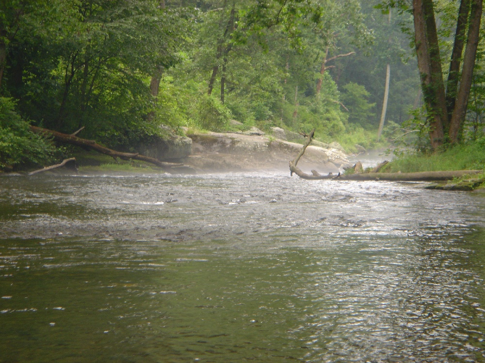 Bel Air fishing photo 3