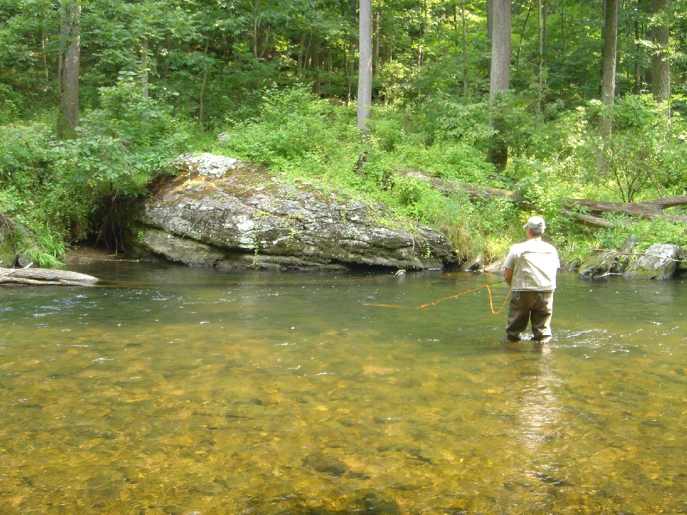 Jarrettsville fishing photo 2