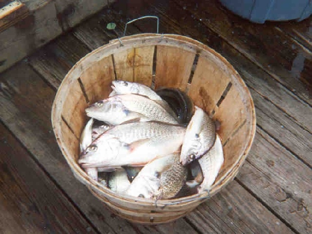 Lusby fishing photo 0