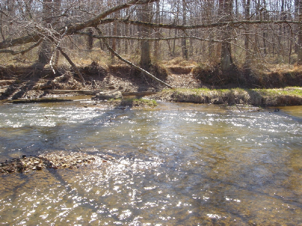 Clover Hill fishing photo 2