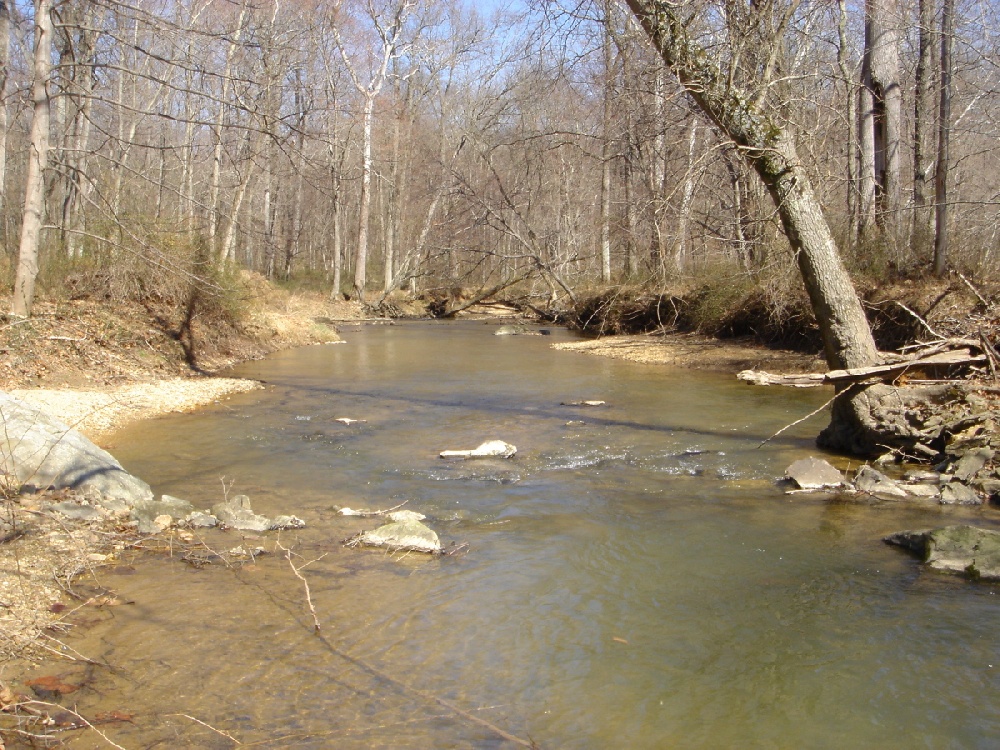 Cloverly fishing photo 2