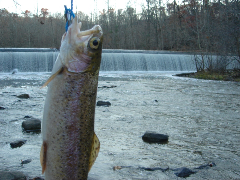 Sykesville fishing photo 3