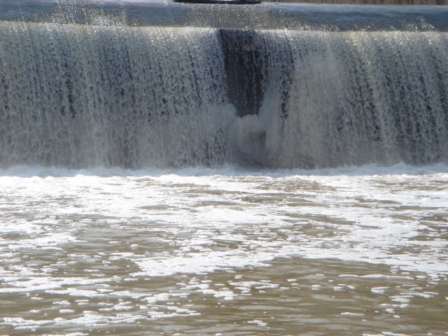 Herald Harbor fishing photo 3