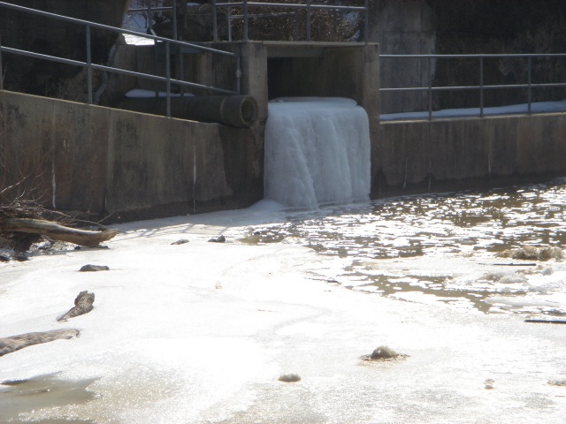 Arden-on-the-Severn fishing photo 1