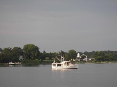 Chester River