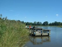 Mud Mill Pond